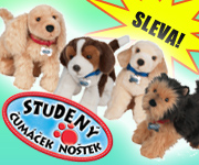 Studený čumáček