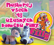 Filly koníčci