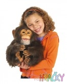 2963-75798-furreal-friends-schimpanse-pr.jpg