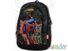 5042-spide2.jpg