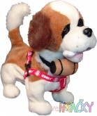 5079-samby.jpg