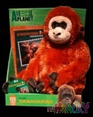 5351-animal-planet-plys-dvd.jpg