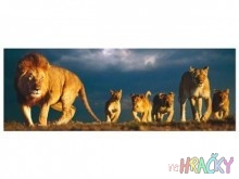 5495-puzzle-panorama-lvi.jpg