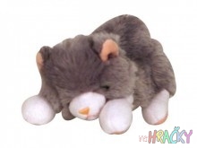 5776-baby-snugs-kotatko.jpg