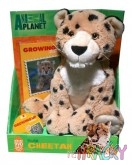 9051-animal-planet-plys-s-dvdgepa.jpg