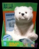 9089-9087-animal-planet-plys-s-dvd-ledni-medved.jpg