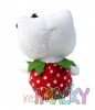 1116-hello-kitty-jahudka-zezadu.jpg