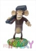 1477-madagascar-mason-predek.jpg