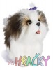 2945-787460901-shih-tzu-sm.jpg