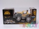 4192-rc-auto-1-ku-16.jpg