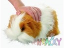 5153-morce-animagic.jpg