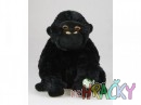 5338-animal-planet-oci-4.jpg