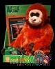 5351-animal-planet-plys-dvd.jpg