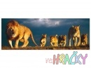 5495-puzzle-panorama-lvi.jpg