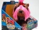Pinky JorkšírPinky Jorkšír