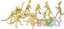 7759-skeletony.jpg